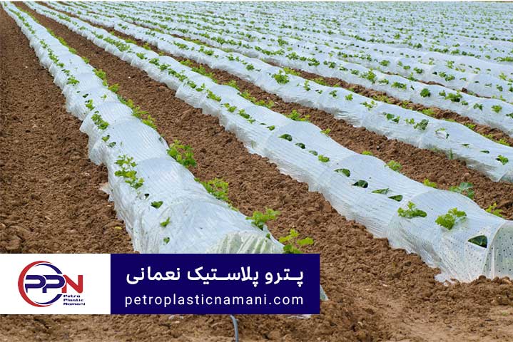 خرید نایلون مالچ کشاورزی | پترو پلاستیک نعمانی
